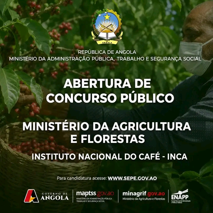 Instituto Nacional Do Café - INCA